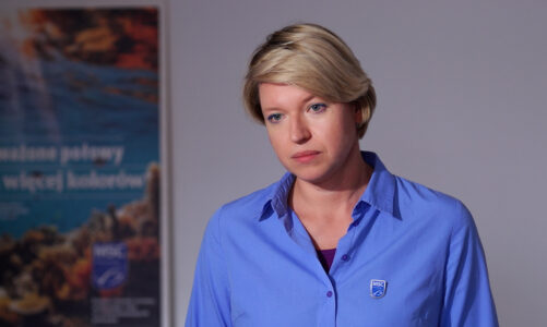 Śledź jest najchętniej wybieraną rybą przez Polaków. Może jednak zniknąć z naszych stołów w wyniku przełowienia stad