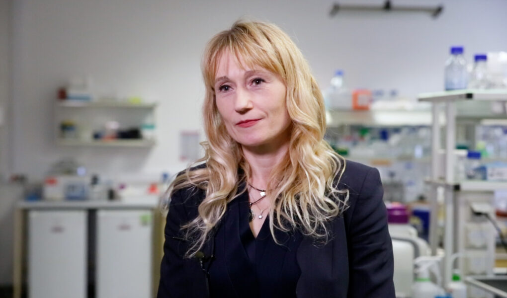 Zaawansowane prace nad terapią komórkową raka płuca na Uniwersytecie Gdańskim. Odkrycia projektu SWIFT wesprą też diagnostykę tej choroby